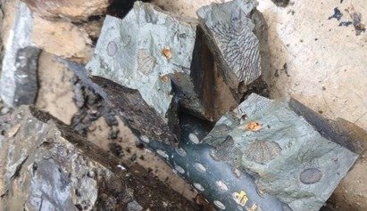 Batu Yang Menceritakan Siapa Mereka